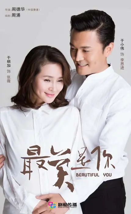 《最美是你DVD版》：爱与救赎的动人故事，情感深度解析