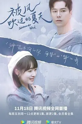 被风吹过的夏天 海报