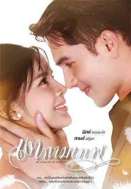 《新爱神之影》：当欲望与救赎交织，一部挑战伦理底线的惊艳之作