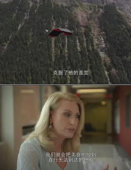 《宠物的秘密生活第一季》：揭秘毛茸茸伙伴的内心世界，一场关于忠诚、冒险与爱的温馨旅程