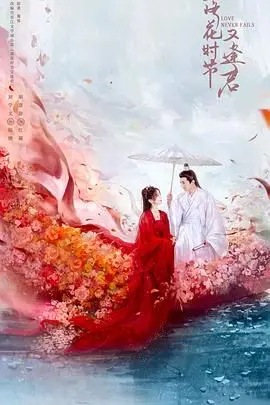 《落花时节又逢君2025》：穿越时空的爱恋，能否冲破宿命的枷锁？