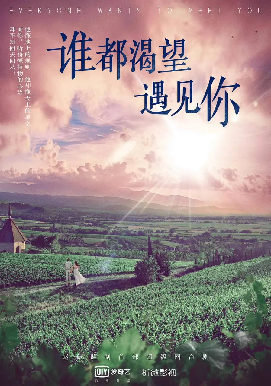 谁都渴望遇见你：陈小春主演的都市爱情与家庭温情之旅，探索命运的奇妙邂逅