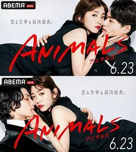《ANIMALS》：人性丛林生死搏杀，生存还是灭亡，你敢直视这残酷真实？